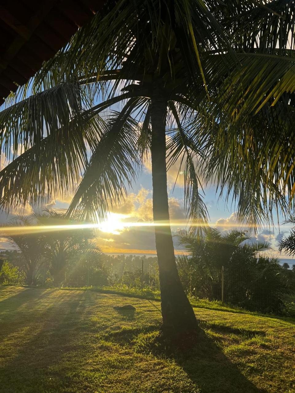 Pousada Riviera - Praia De Lagoa Do Pau Coruripe Ngoại thất bức ảnh